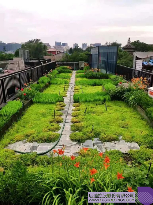 1605858459249690.jpg 8.JPG